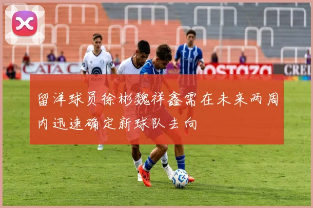 留洋球员徐彬魏祥鑫需在未来两周内迅速确定新球队去向